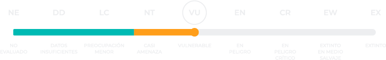 VU