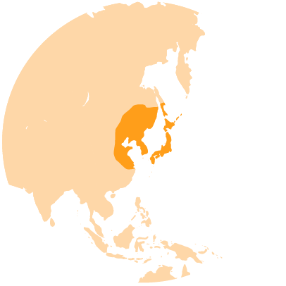 10-karpa-koi-11-11