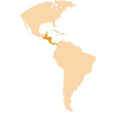 Basilisco