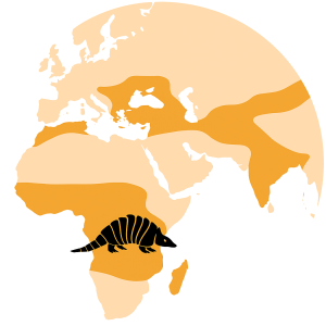 ChatGPT Image 21 nov 2025, 01_53_54 p.m.