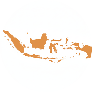 Escinco Indonesio Cola Azul Escinco Indonesio Cola Azul