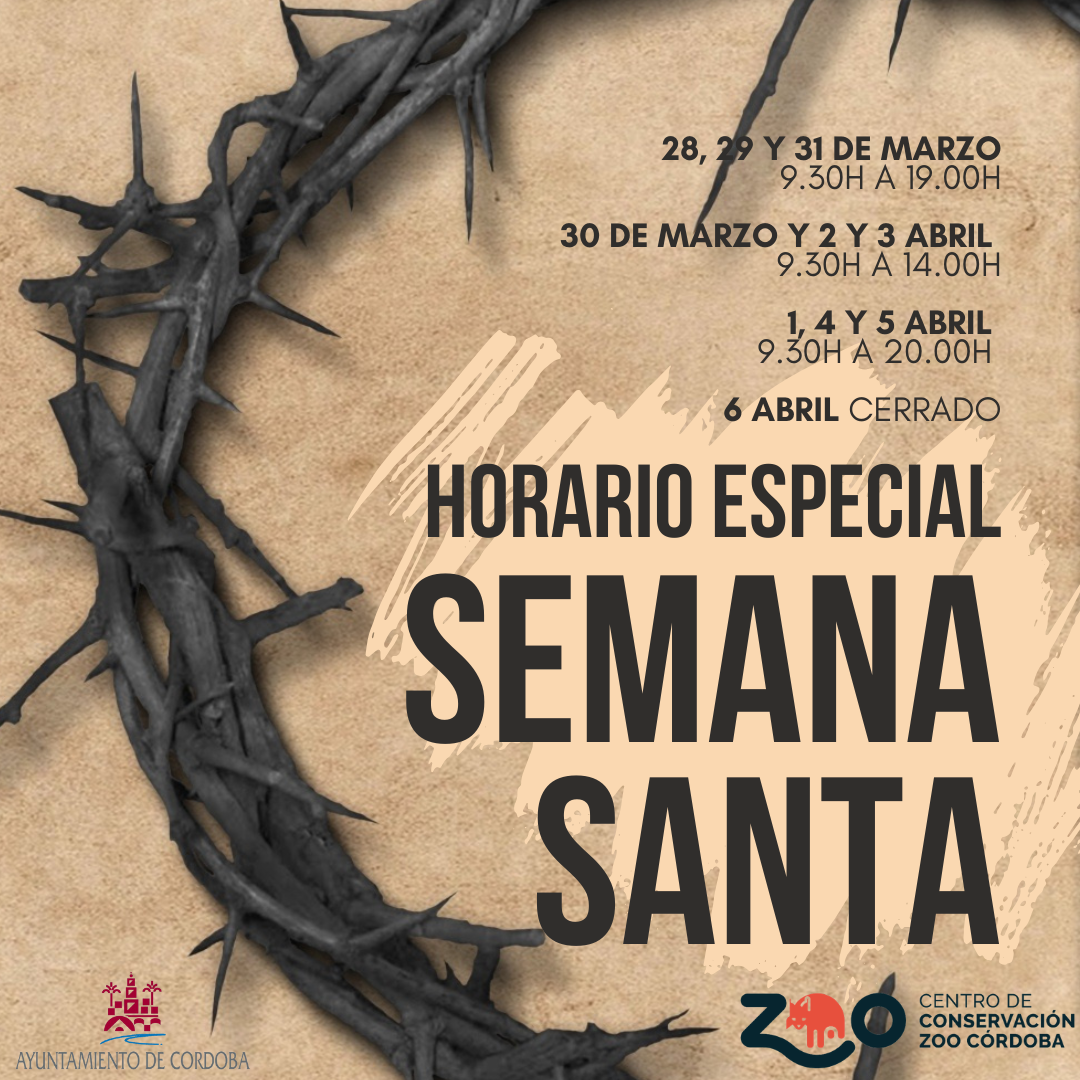 Horario Semana Santa