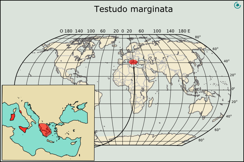 Testudo_marginata_distribucion Testudo_marginata_distribucion